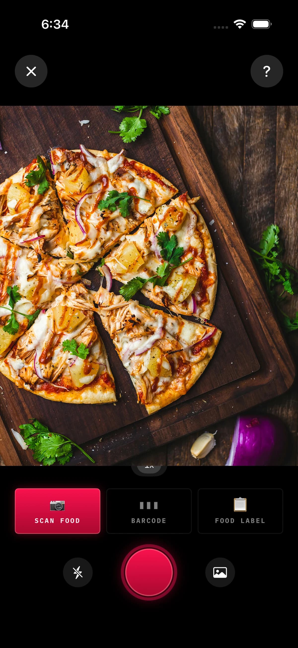 BiteDeck photo scan screen identifying foods on a plate with editable per-item portion totals